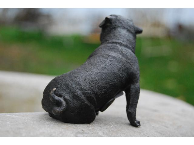 Photo Statue d'un chien carlin en bronze signé. image 2/6