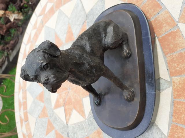 Photo SUPERBE BOXER ASSIS EN BRONZE SUR SOCLE MARBRE image 2/6