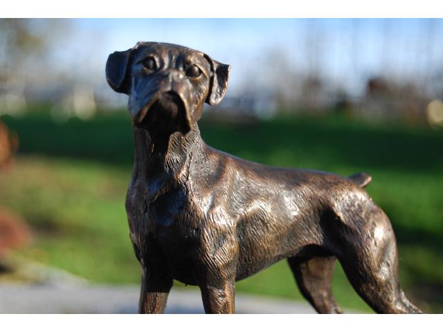 Photo SUPERBE BOXER EN BRONZE SUR SOCLE EN MARBRE. image 2/6