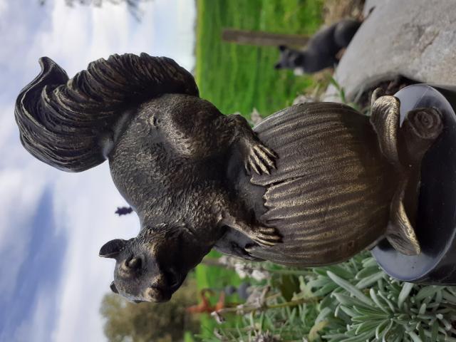 Photo SUPERBE BRONZE ANIMILIER SIGNE (l'écureuil) image 2/6