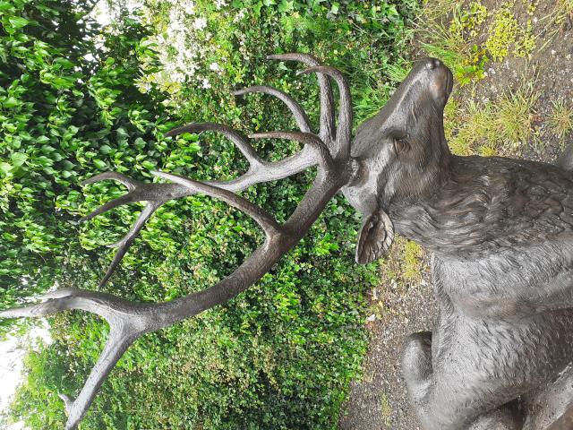 Photo SUPERBE CERF COUCHE EN BRONZE (grandeur nature). image 2/6