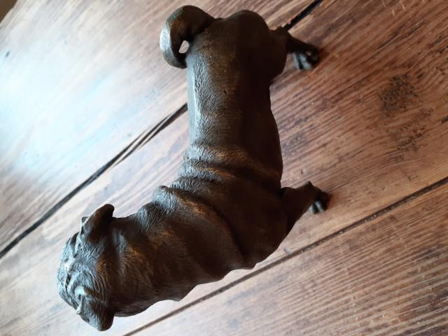 Photo Superbe chien shar-pei en bronze image 2/6