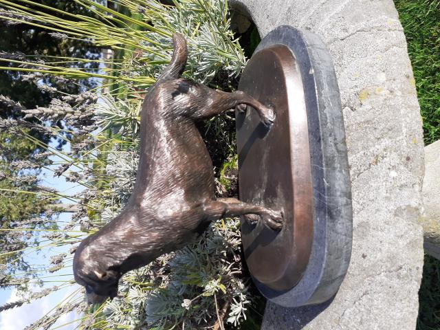 Photo SUPERBE LABRADOR EN BRONZE SUR SOCLE MARBRE. image 2/6