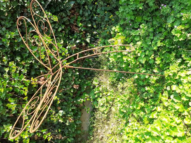 Photo SUPERBE LIBELLULE EN FER FORGE (pique de jardin) image 2/6