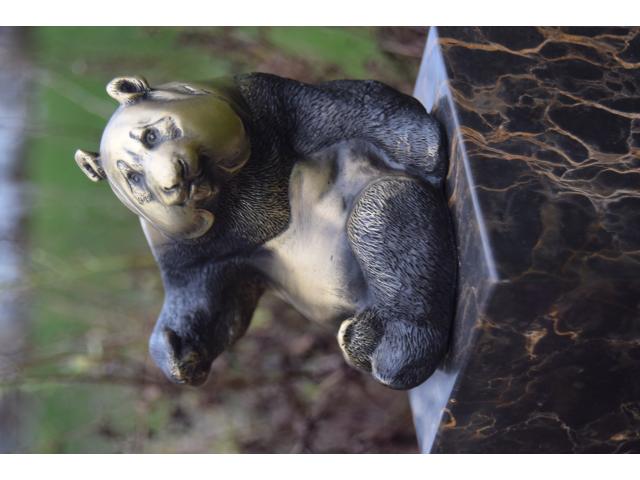 Photo SUPERBE PANDA  ASSIS EN BRONZE SIGNE SUR SOCLE image 2/6