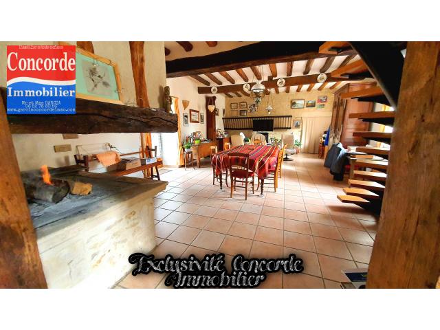 Photo Superbe propriété de 240 m² à acheter à Saint Cosme en Vairais ( 72 Sarthe ) image 2/5