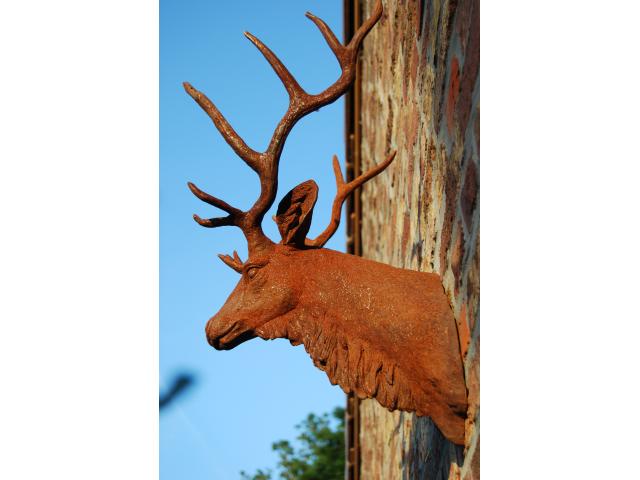 Photo SUPERBE TETE DE CERF EN FONTE A SUSPENDRE image 2/6