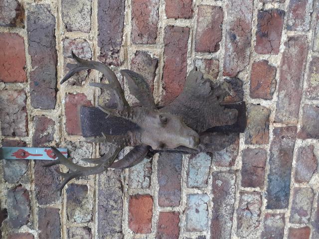 Photo SUPERBE TETE DE CERF EN FONTE A SUSPENDRE image 2/6
