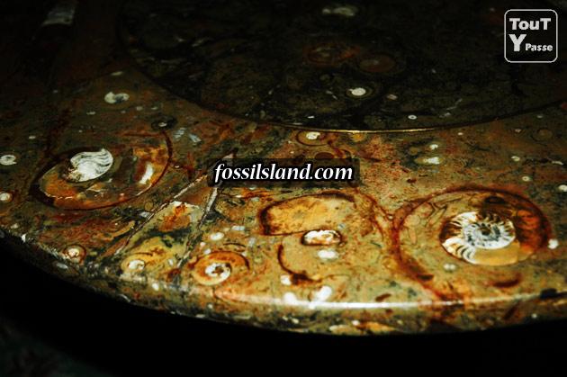 Photo Table basse ovale en marbre fossile marron du sud du Maroc image 2/3