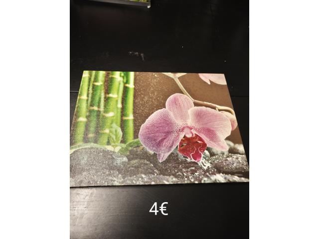 Photo Tableau image 2/6