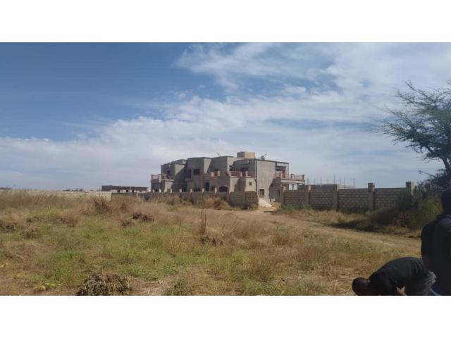 Photo Terrain 1 hectare a Nguerigne Mbambara image 2/6