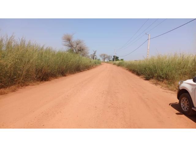 Photo Terrain 1 hectare à vendre à Mbourokh Sénégal image 2/3
