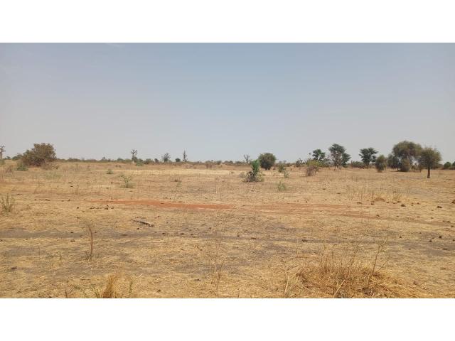 Photo Terrain 1 hectare à vendre à Sandiara Sénégal image 2/3
