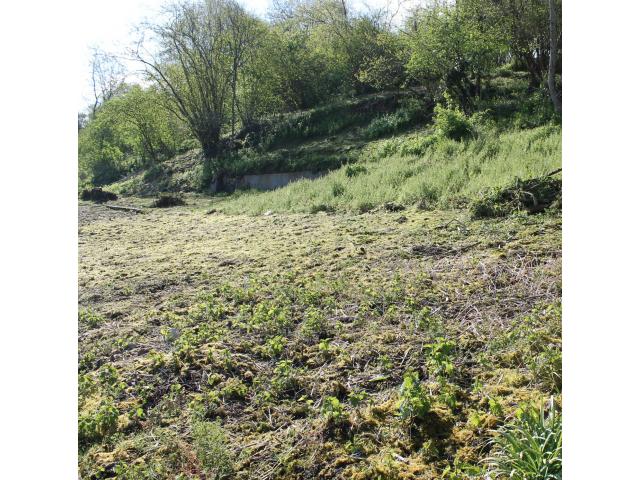 Photo TERRAIN 1029 M2 image 2/2