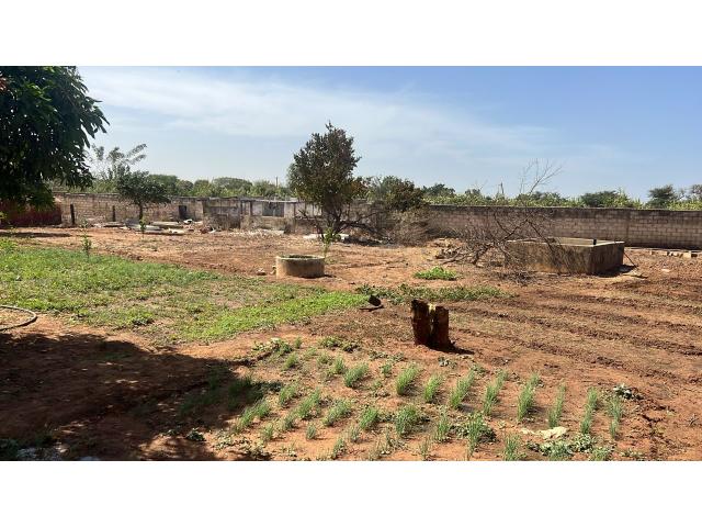 Photo Terrain 1500 mètres carrés à vendre à Nguérigne Sénégal image 2/4