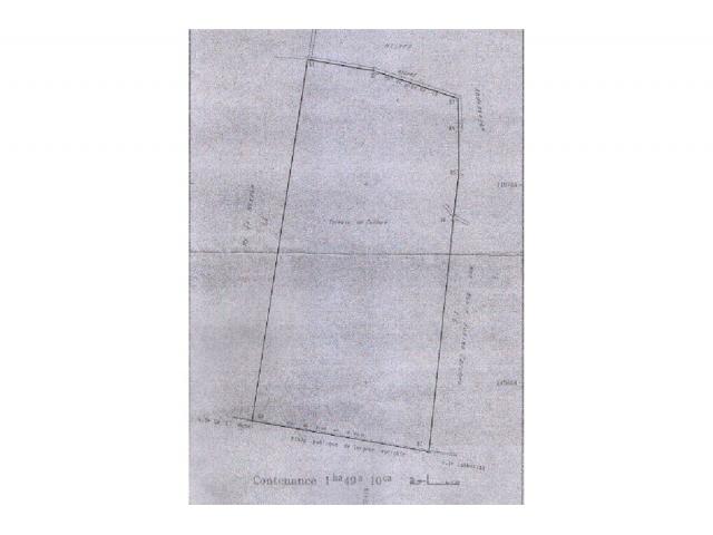 Photo Terrain image 2/2