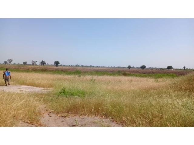 Photo Terrain 2 hectares et demi à Louly Ngomène image 2/3