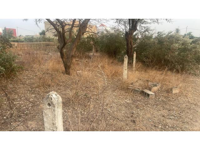 Photo Terrain 200 mètres carrés à vendre à Malicounda Sénégal image 2/3