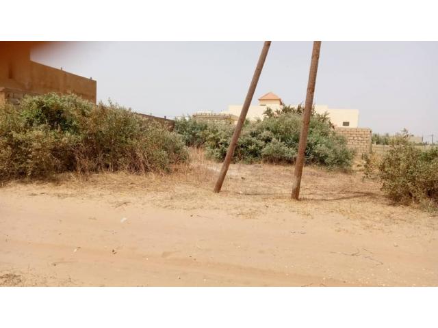 Photo Terrain 300 metres carres a Saly Diambars image 2/4