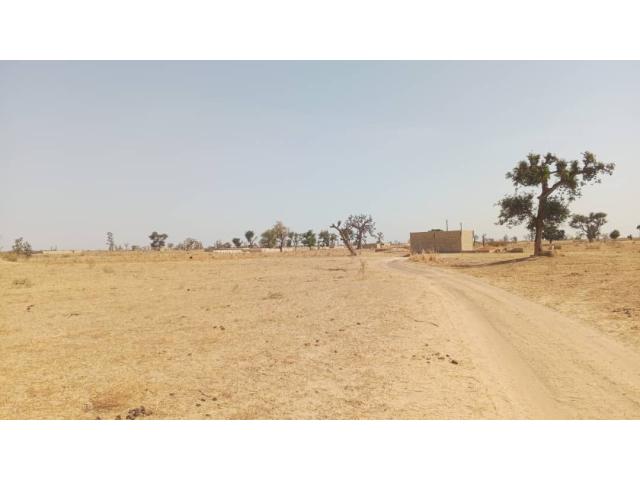 Photo Terrain 300 mètres carrés à vendre à Malicounda Sénégal image 2/3