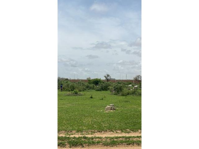 Photo Terrain 300 mètres carrés à vendre à Malicounda Sénégal image 2/3