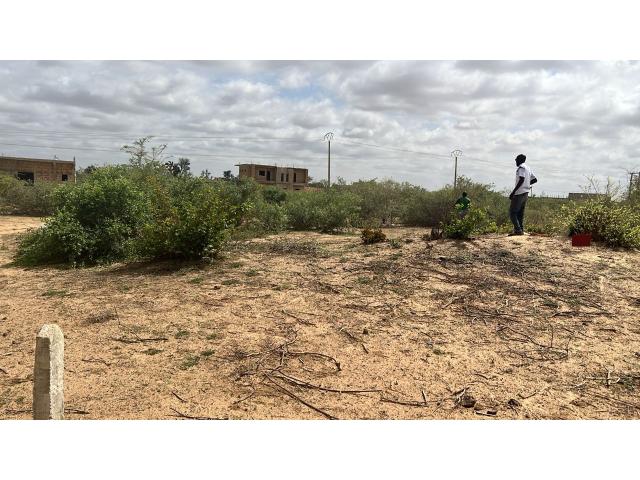 Photo Terrain 300 mètres carrés à vendre à Malicounda Sénégal image 2/2