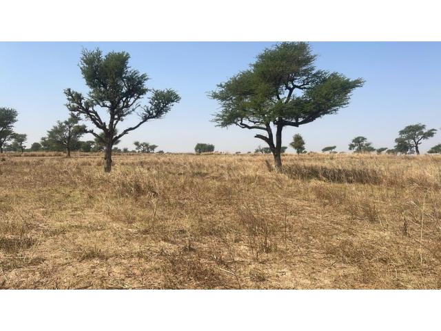 Photo Terrain 300 mètres carrés à vendre à Malicounda Sénégal image 2/4