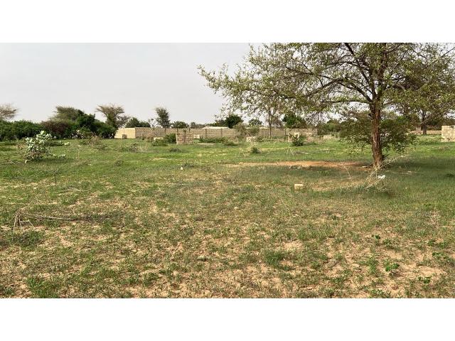 Photo Terrain 300 mètres carrés à vendre à Malicounda Sénégal image 2/4