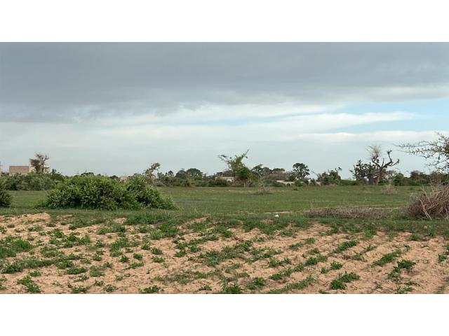 Photo Terrain 300 mètres carrés à vendre à Malicounda Sénégal image 2/3