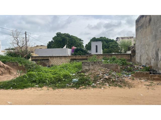 Photo Terrain 300 mètres carrés à vendre à Mbour Sénégal image 2/3