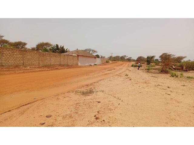 Photo Terrain 350 mètres carrés à vendre à Malicounda Sénégal image 2/3