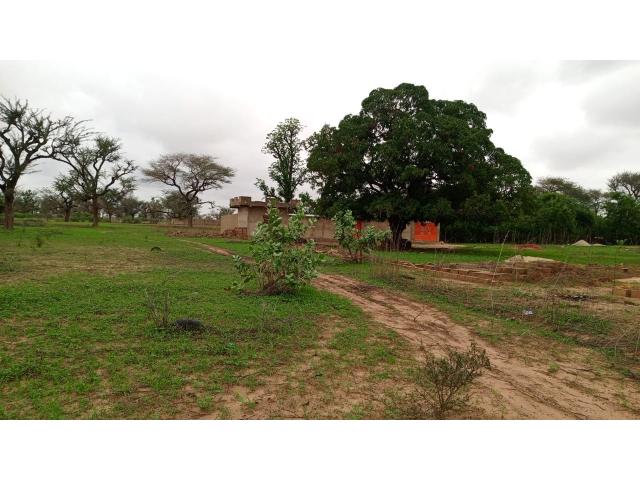 Photo Terrain 450 mètres carrés à vendre à Malicounda Sénégal image 2/3