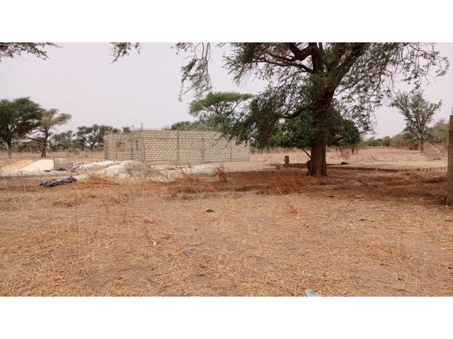 Photo Terrain 450 mètres carrés à vendre à Malicounda Sénégal image 2/3