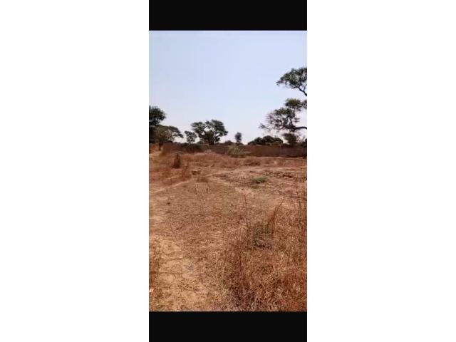 Photo Terrain 460 mètres carrés à vendre à Malicounda Sénégal image 2/3
