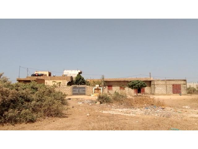 Photo Terrain 600 mètres carrés à vendre à Malicounda Sénégal image 2/4