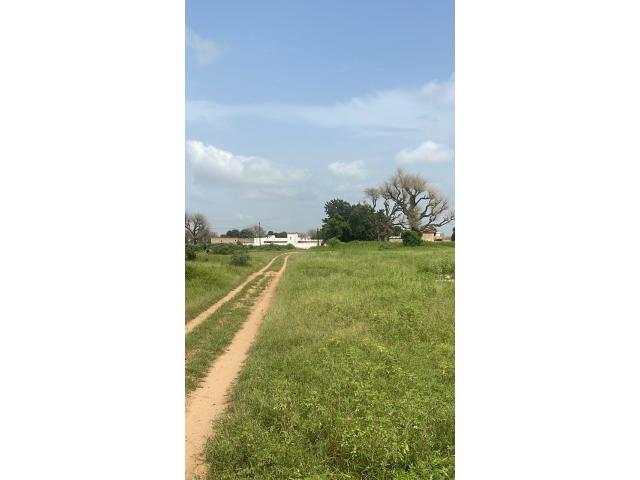 Photo Terrain 600m2 keur masseib image 2/4