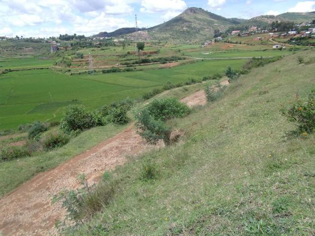 Photo TERRAIN A VENDRE A AMBANITSENA Ref#1525 image 2/3