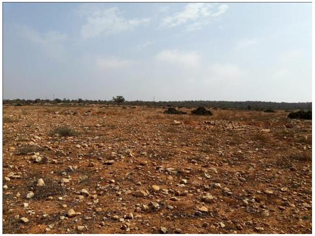 Photo terrain a vendre a taddart anza image 2/4