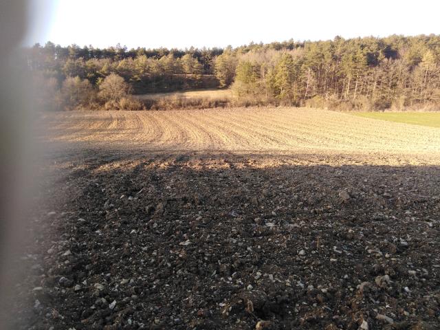Photo Terrain agricole à vendre a Viroinval image 2/3