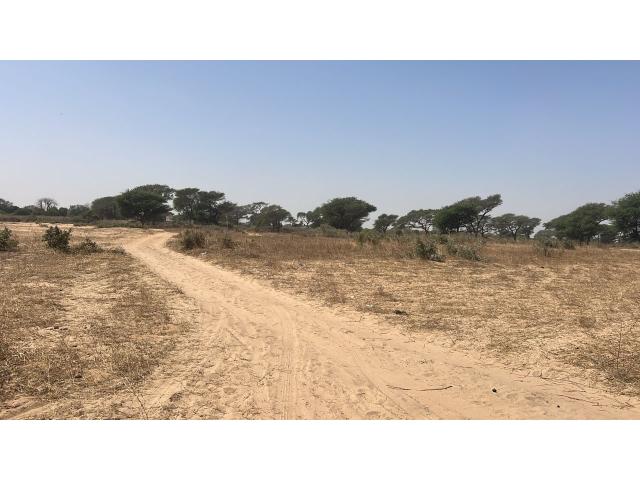 Photo Terrain agricole de 1 hectare 400 à vendre à Notto Sénégal image 2/3