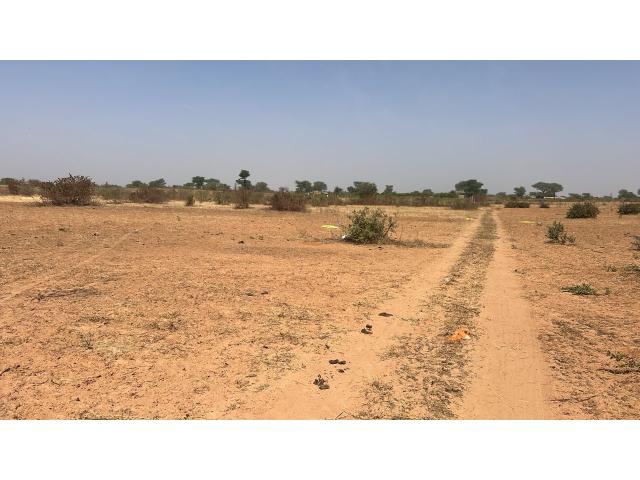 Photo Terrain agricole de 1 hectare à vendre à Notto Sénégal image 2/3