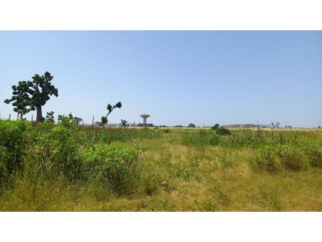 Photo Terrain agricole de 1 hectare à vendre à Sandiara image 2/4