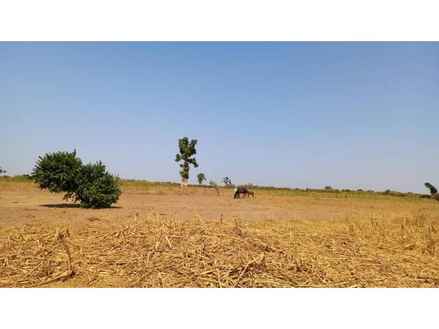 Photo Terrain agricole de 1 hectare à vendre à Téne Toubab image 2/6