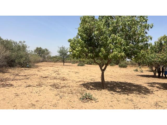 Photo Terrain agricole de 4 hectares à vendre à Notto Sénégal image 2/4