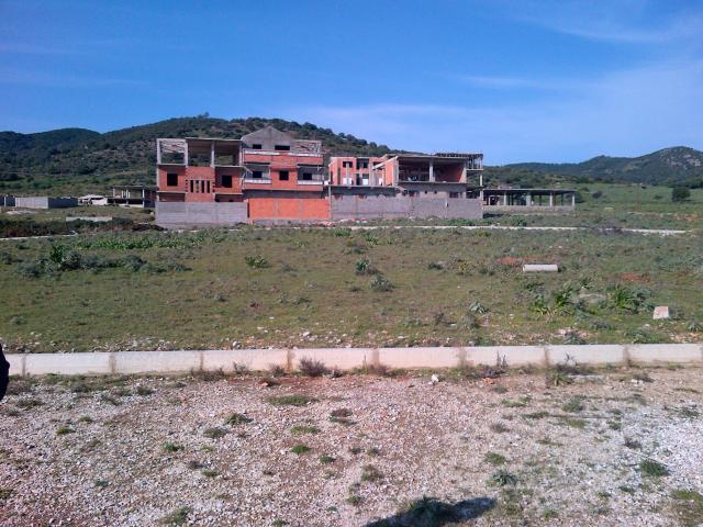 Photo TERRAIN AVENDRE A LA MARSA SKIKDA image 2/3
