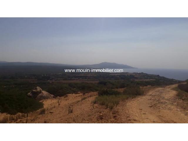 Photo TERRAIN CAP SERRAT 2 Bizerte, Cap Serrat T866 image 2/3