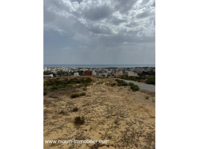 Photo TERRAIN DANIA Hammamet Nord Mrezka T1158 image 2/3