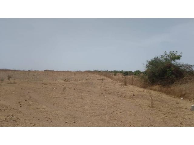 Photo Terrain de 1 hectare à Nguérigne image 2/6