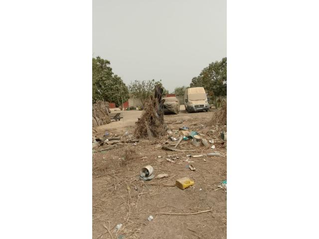 Photo Terrain de 1200 mètres carrés à vendre à Saly, Sénégal image 2/6