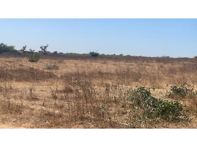 Photo Terrain de 150 mètres carrés à vendre à Ndayane  Sénégal image 2/3